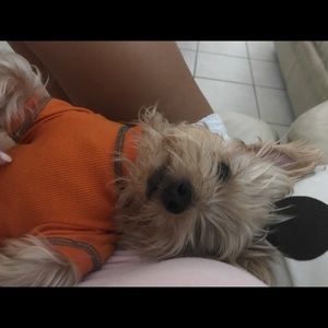 Meet your Posher, Sophia